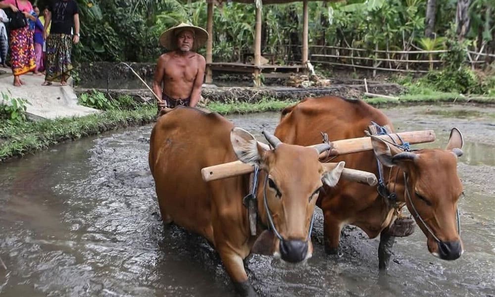 ExperienceTraditional