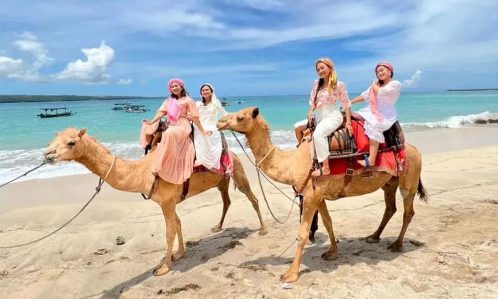 Camel Ride