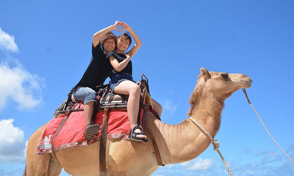 Camel Ride