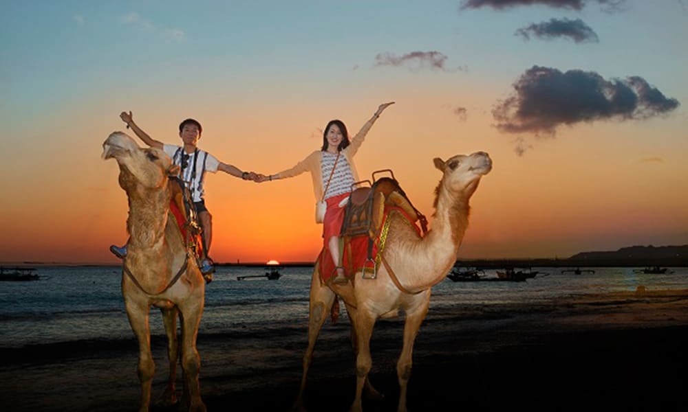 Camel Ride