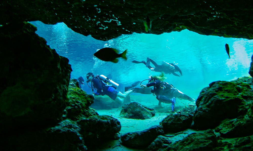 Introductory Diving Introductory Diving