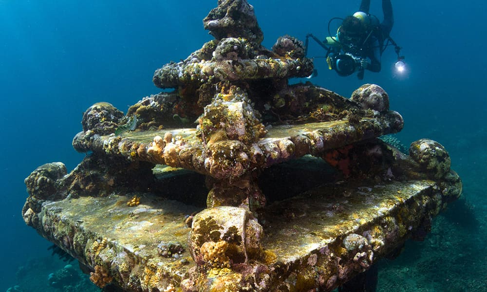 Introductory Diving Introductory Diving