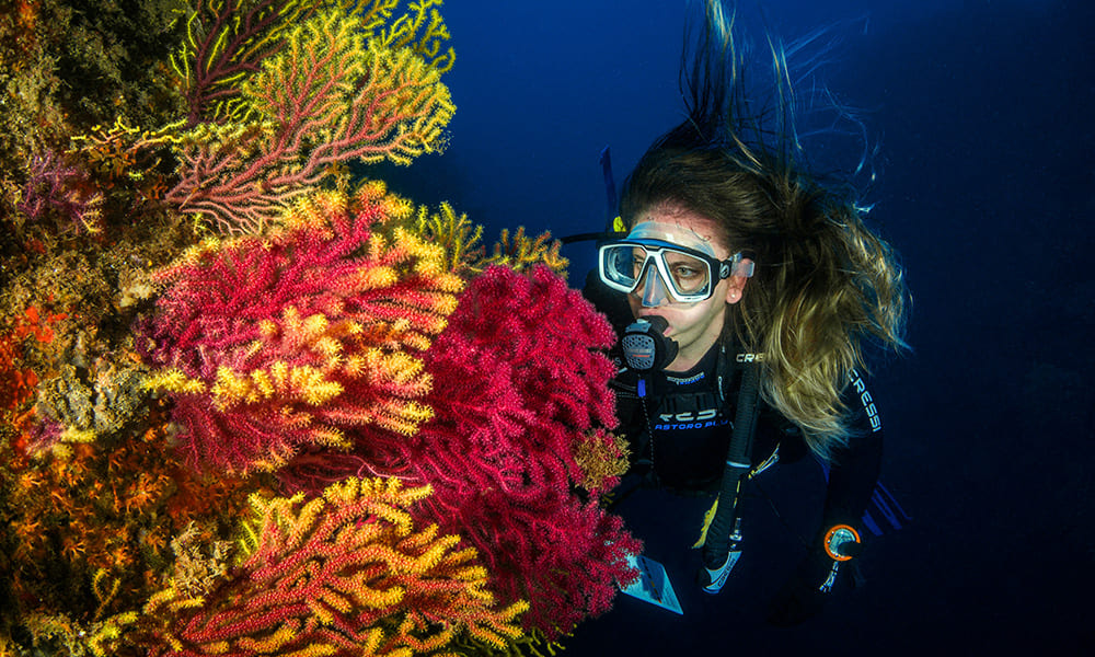 Introductory Diving Introductory Diving