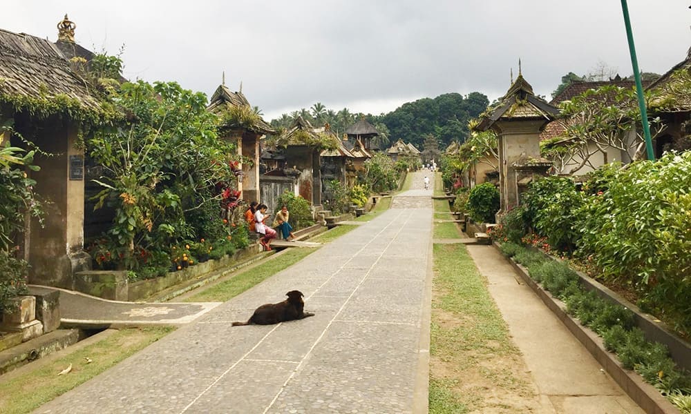 Penglipuran Village