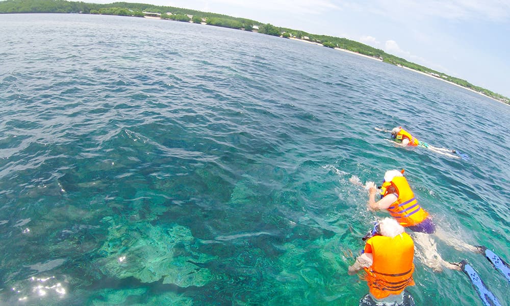 シュノーケリング Snowkeling