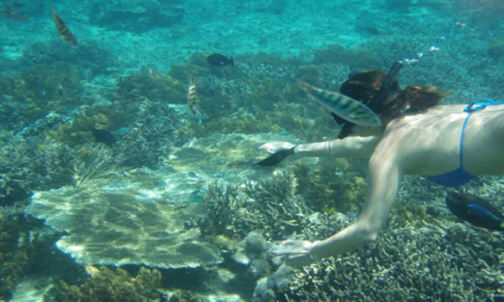 シュノーケリング Snowkeling