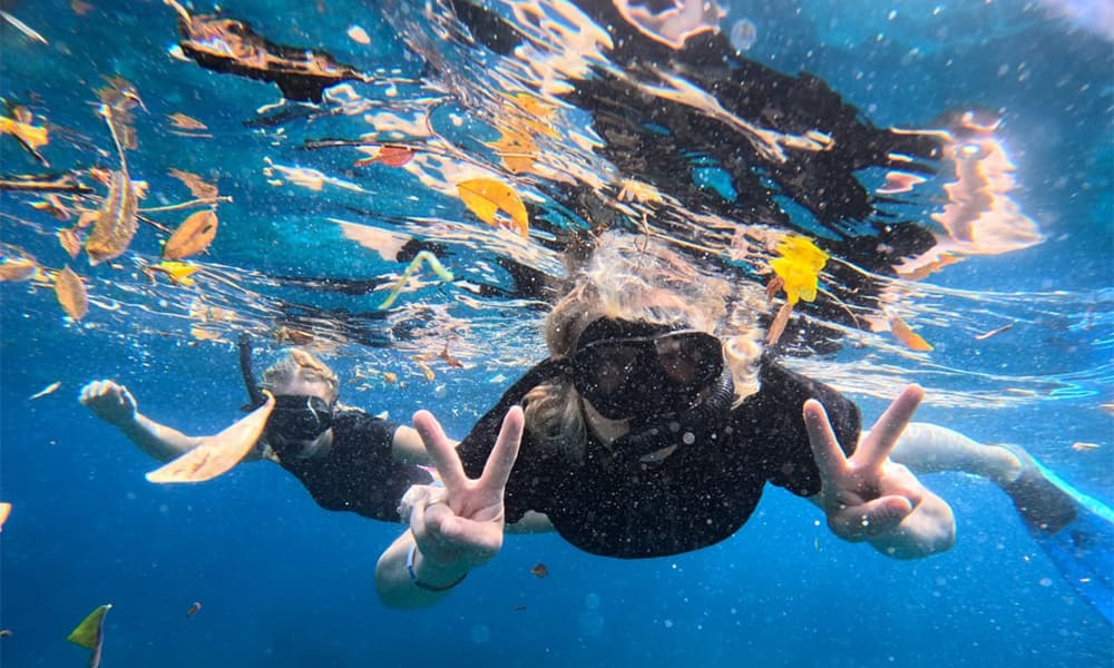 シュノーケリング Snowkeling